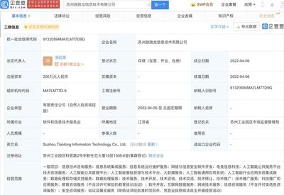 科大訊飛投資成立新公司，拓展人工智能公共服務與咨詢新賽道