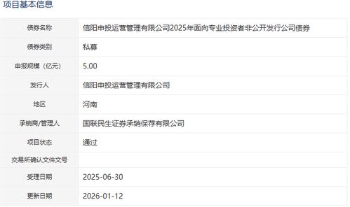 信陽申投運營管理公司5億元公司債獲批，加碼人工智能公共服務技術咨詢服務